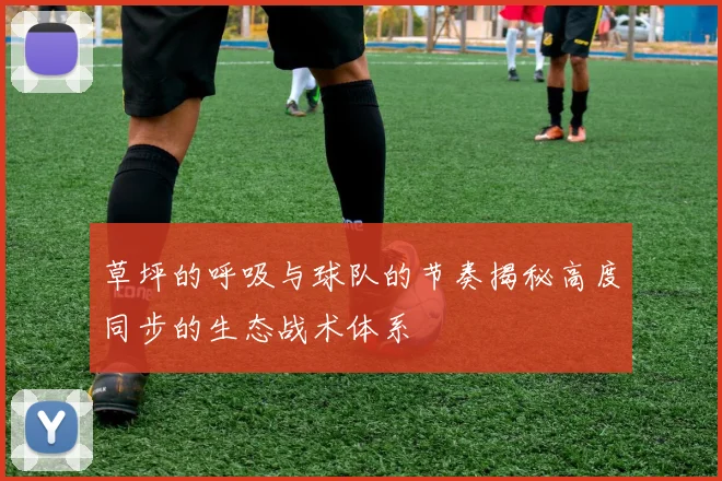 草坪的呼吸与球队的节奏揭秘高度同步的生态战术体系